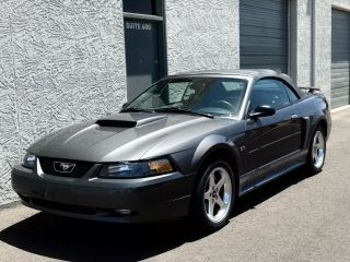 Image of 2003 FORD MUSTANG