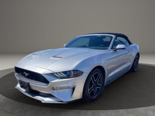 Image of 2019 FORD MUSTANG
