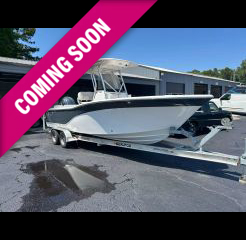 Image of 2022 SEA FOX COMMANDER 248
