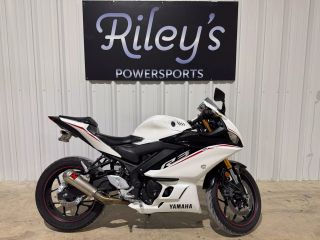 Image of 2019 YAMAHA R3