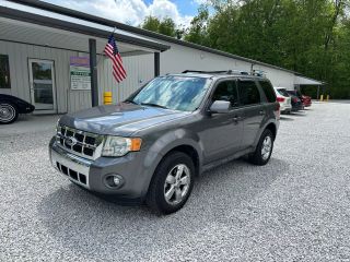 Image of 2010 FORD ESCAPE