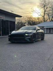 Image of 2019 FORD MUSTANG