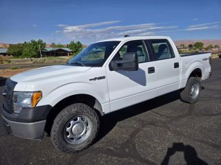 2014 FORD F150 XL