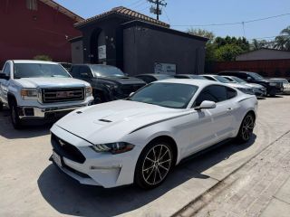 Image of 2019 FORD MUSTANG