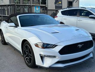 Image of 2022 FORD MUSTANG