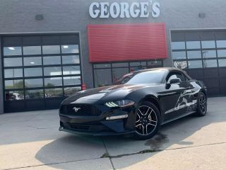 Image of 2018 FORD MUSTANG