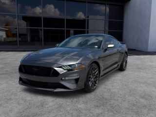 Used Car FORD MUSTANG to buy in Miami, Florida. Price: $31,999