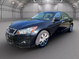 Image of 2010 HONDA ACCORD