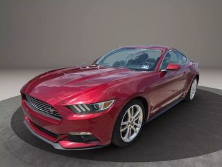 Image of 2017 FORD MUSTANG