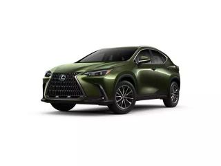 2025 LEXUS NX 350