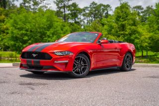 Image of 2022 FORD MUSTANG