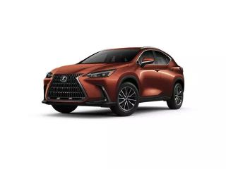 2025 LEXUS NX 350
