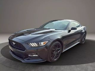 Image of 2017 FORD MUSTANG