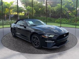 2019 FORD MUSTANG - Image