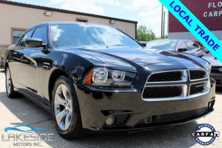 Image of 2013 DODGE CHARGER