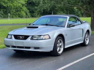Image of 2002 FORD MUSTANG