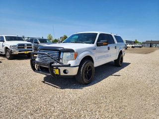 2011 FORD F150 XLT