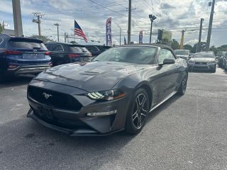 Image of 2019 FORD MUSTANG