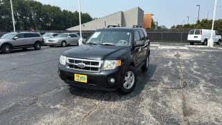 2008 FORD ESCAPE XLT
