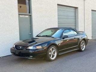 Image of 1999 FORD MUSTANG