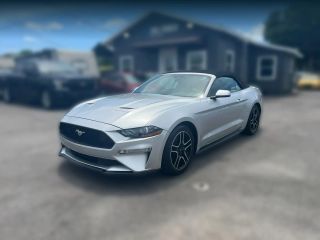 Image of 2019 FORD MUSTANG
