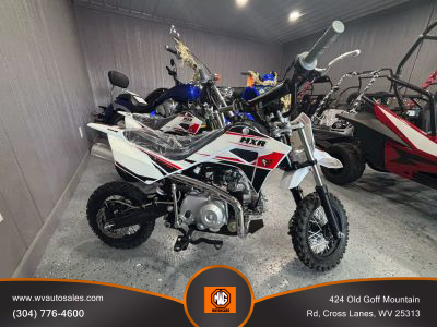 2021 Pitster Pro - Image 1