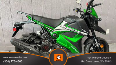 2022 Bintelli Beast 150 - Image 1