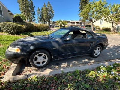 2000 Ford Mustang - Image 1