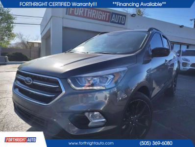 2019 FORD ESCAPE - 4-CYL, ECOBOOST, TURBO, 1.5 LITER SE SPORT UTILITY 4D