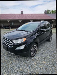2018 Ford Ecosport - Image 1