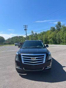 Buy Used 2020 CADILLAC ESCALADE for sale - Mackey Automotive located in Round Lake 1GYS4BKJ8LR211651 -