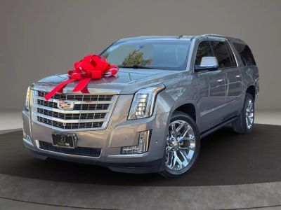 2019 Cadillac Escalade Esv - Image 1