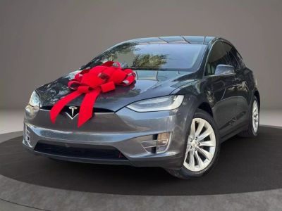 2019 Tesla Model X - Image 1