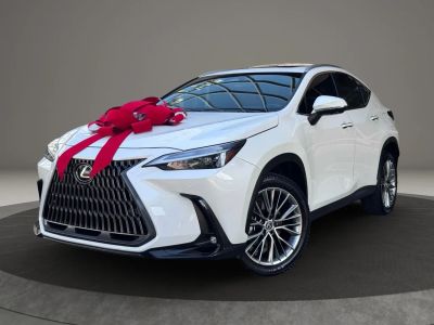 2022 Lexus Nx - Image 1