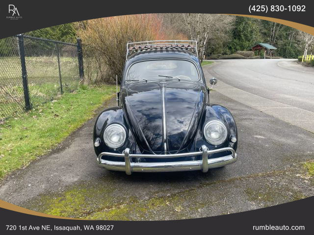 1957 Volkswagen Beetle - - Image 2