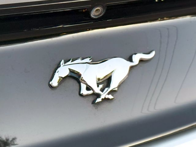2017 Ford Mustang - Image 8