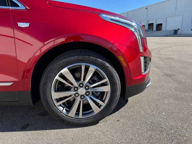 2021 Cadillac Xt5 - Image 8