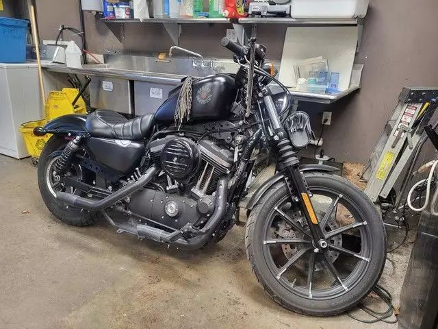 2020 Harley-davidson Xl883 - Image 1