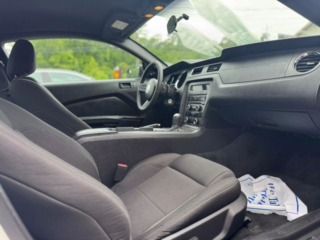 2011 Ford Mustang Coupe 2d - Image 16