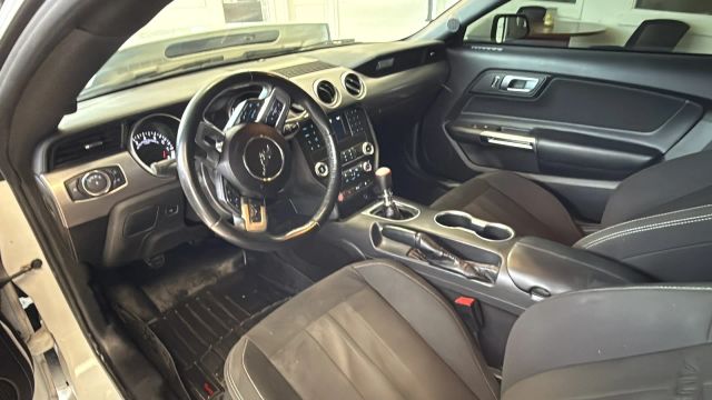 2019 Ford Mustang - Image 21