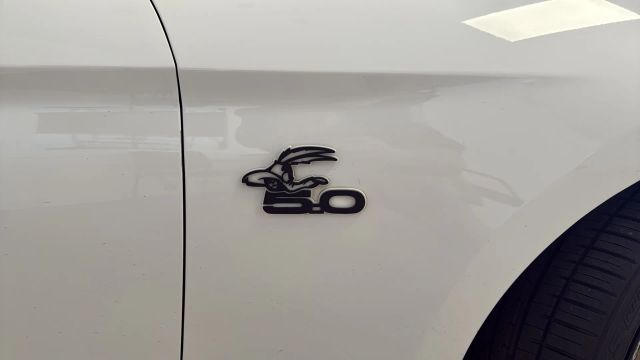 2019 Ford Mustang - Image 2