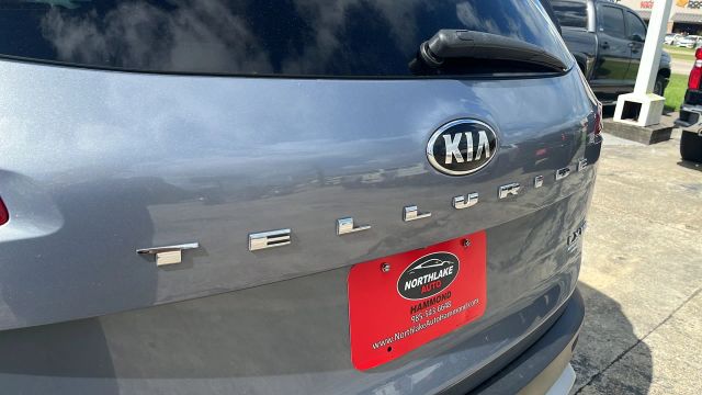 2020 Kia Telluride - Image 2